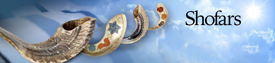 Shofars for Sale, Buy a Shofar From Israel | Judaica Web Store