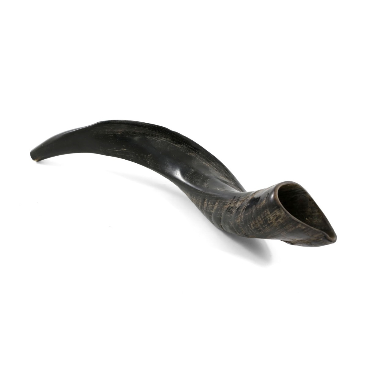 18"-20" Yemenite Kudu Shofar - Natural main product photo