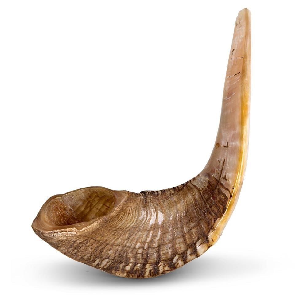 Kosher Classic Natural Ram's Horn Shofar 16"-18" / 40-45 cm main product photo