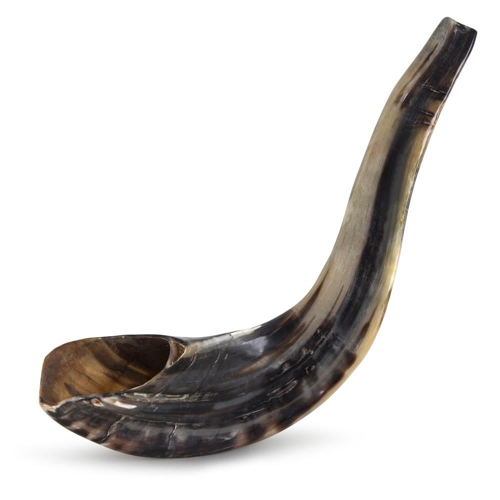 Kosher 16"-18" Classical Ram's Horn Shofar - Polished main product photo