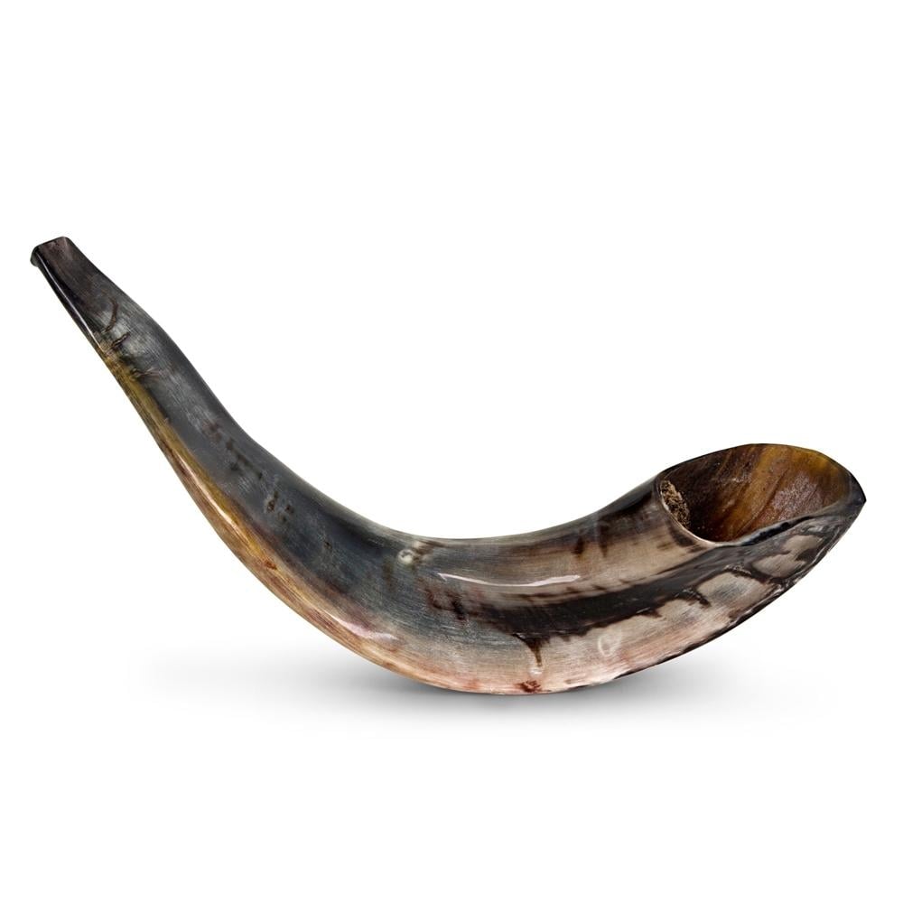 Kosher 12"-14" Classical Ram's Horn Shofar - Polished main product photo