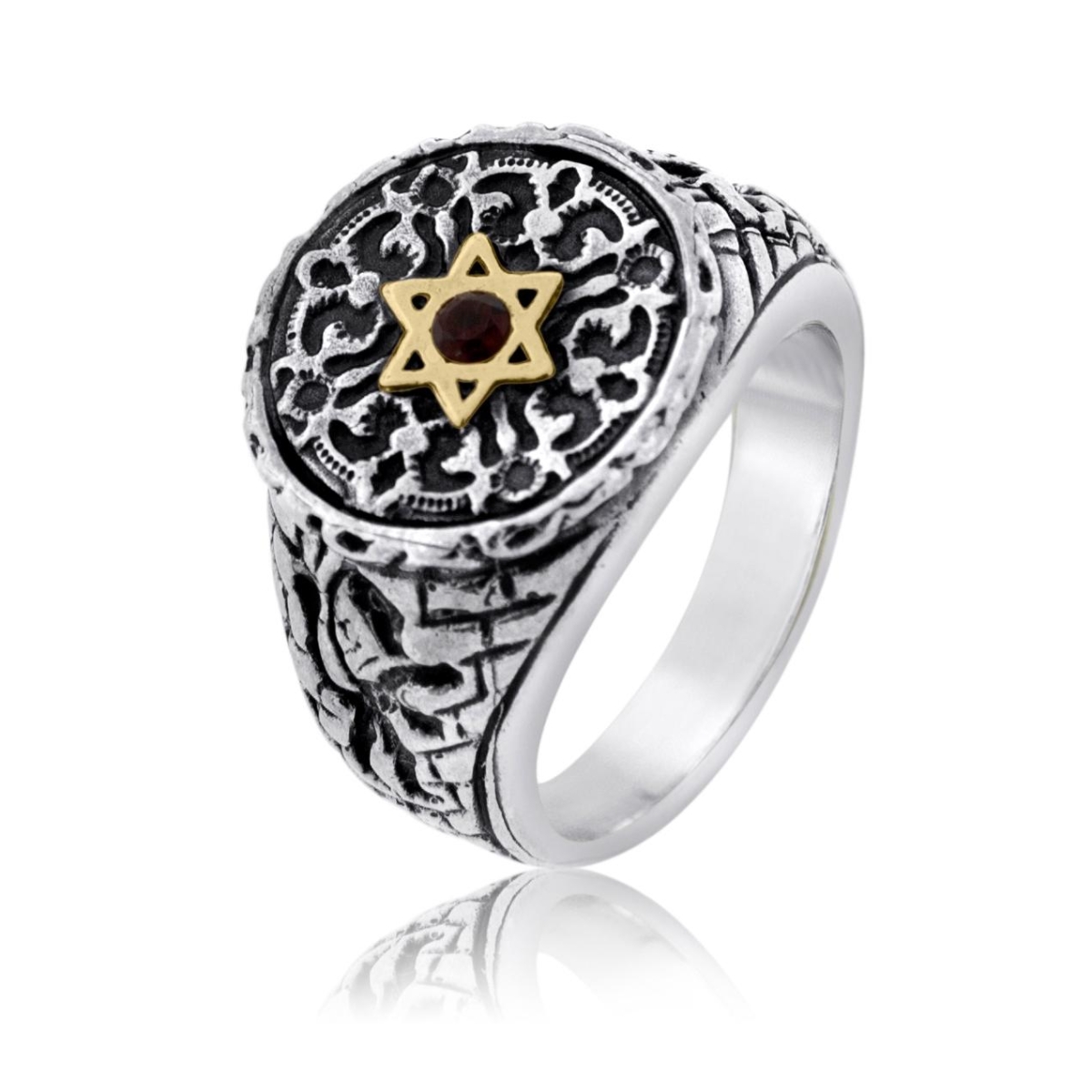 Lion of Judah: Silver and Gold Star of David Ring with Garnet, Jewish ...