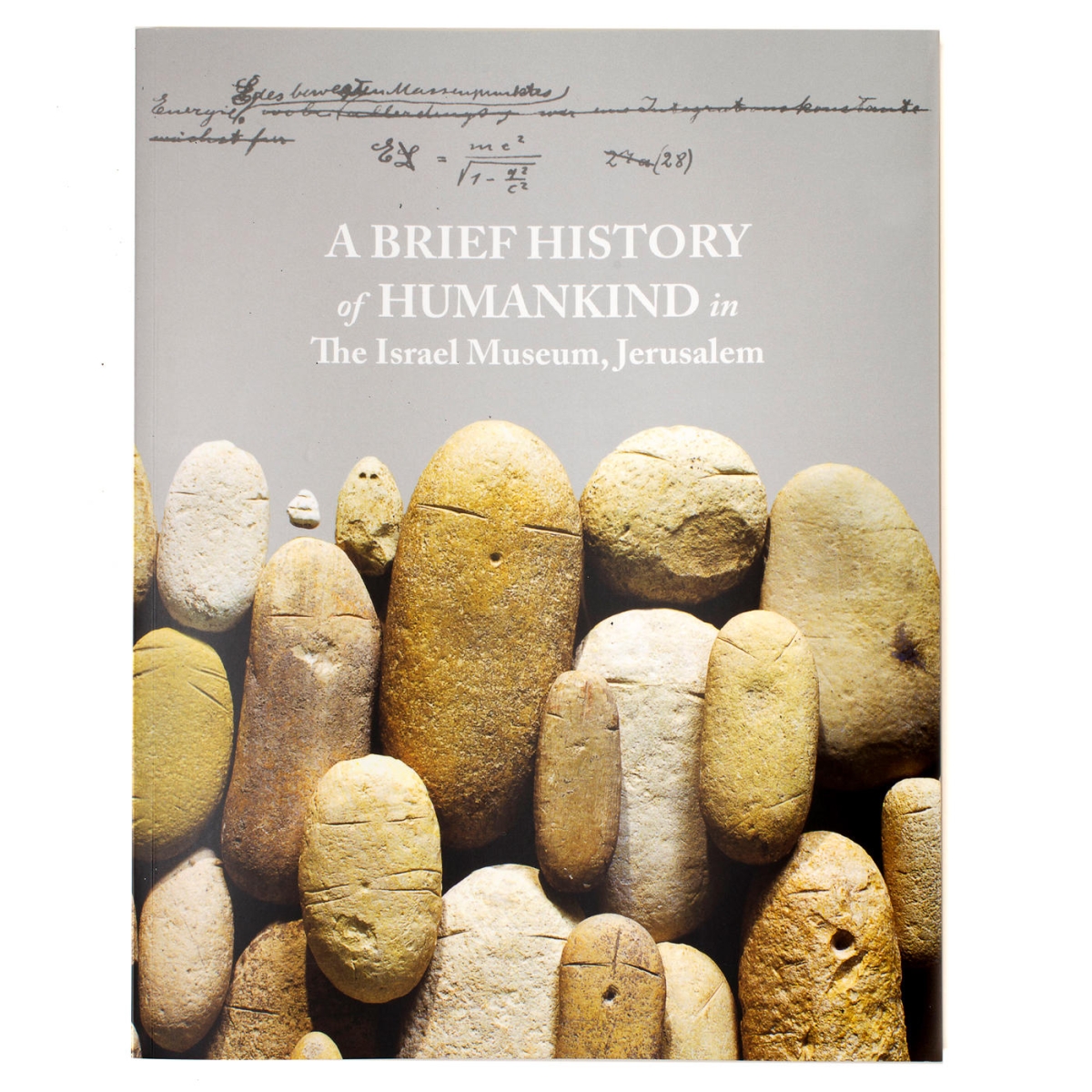 A Brief History of Humankind  in The Israel Museum, Jerusalem (Paperback) - 1