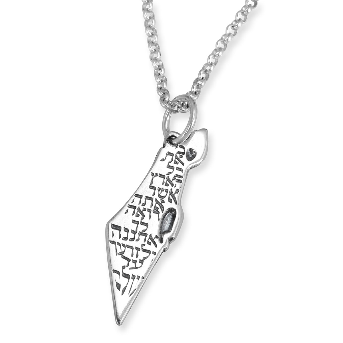 Sterling Silver Map of Israel Necklace with Genesis (13:15) Quote - 1