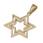 14K Gold Star of David with Cut Out Maze Design Pendant - 1