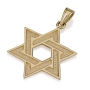 14K Gold Star of David with Maze Design Pendant - 1