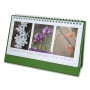 Flowers of Israel Desktop Calendar 5779 - 2018-19 - 2