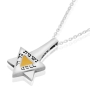 Gold and Silver Star of David Necklace for Blessing and Spiritual Growth - 1