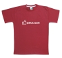   Jerusalem T-Shirt -"Like". Variety of Colors - 11