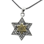 Silver and Gold Star of David Necklace: Filigree and Lily - 1