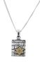 Star of David Necklace: Silver Wall and Gold Star - 1