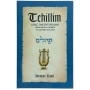Tehillim, King David's Psalms: From Biblical Hebrew to Modern English (Paperback) - 1