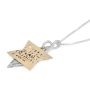 Silver and Gold Priestly Blessing and Heal Me, Lord Star of David Necklace - 4