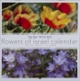 Small Square Flowers of Israel Wall Calendar 5777 - 2016-17 - 2