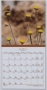 Small Square Flowers of Israel Wall Calendar 5777 - 2016-17 - 3