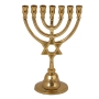 Yair Emanuel Large Brass 7-Branch Menorah with Star of David - 1