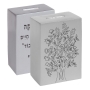 Yair Emanuel Anodized Aluminum Rectangle Tzedakah Box - Silver - 1