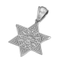 Anbinder Jewelry Luxurious 14K White Gold Star of David Pendant With White and Black Diamonds - 3