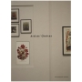 Artists' Choices: New Exhibitions at the Israel Museum (Hardcover) - 2