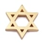 Deluxe 14K Gold Star of David Pendant Necklace - Unisex - 2