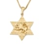14K Gold Star of David Unisex Pendant with Lion of Judah and Western Wall Motif - 1