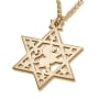Star of David Necklace with Lion of Judah - Silver or Gold Plated - 3