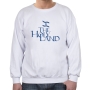 Israel Sweatshirt - The Holy Land. Variety of Colors - 1