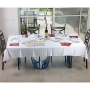 Israeli Designer Passover Seder Essentials Set - Pomegranates - 5