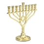 Elegant Star of David Hanukkah Menorah - 9