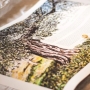 Noam Shargorodsky Customizable Watercolor Ketubah – Olive Tree - 3