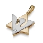 18K Gold Unisex Star of David & Dove of Peace Diamond Pendant (Choice of Color) - 5