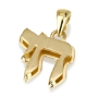 14K Yellow Gold Classic Double Chai Pendant with Two Finishes - 1