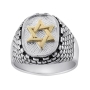 Sterling Silver and Gold Star of David and Western Wall Ring - 1