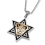 Sterling Silver Star of David Men's Necklace with 9K Gold Lion of Judah  - 1