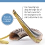 Israel Independence Sterling Silver Plated Ram's Shofar - 9