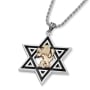 Rafael Jewelry Sterling Silver & 14K Gold Men's Star of David Necklace with Lion of Judah (Large) - 1