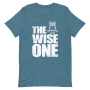 The Wise One - Unisex Passover T-Shirt - 8