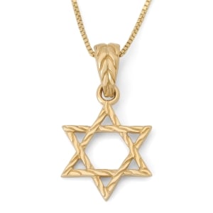 14K Gold Star of David Pendant with Etched Root Design