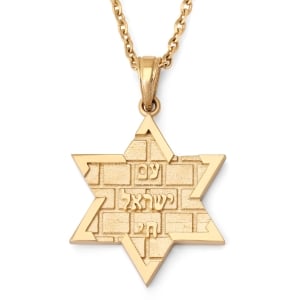 14K Gold Am Yisrael Chai & Star of David Pendant with Kotel Design - Yellow or White Gold