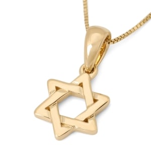 Minimalist 14K Gold Rounded Star of David Pendant Necklace for Women
