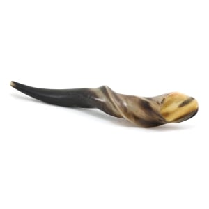 Barsheshet-Ribak Large Torch Shaped Eland Shofar - Polished