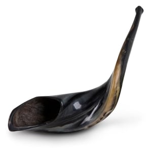 Classical-Rams-Horn-Shofar---Large---Polished-SM-35-40-P_large.jpg