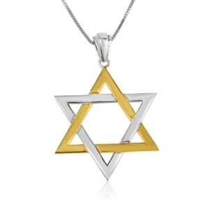 Star of David Interlocking Sterling Silver and Gold Plated Necklace Pendant