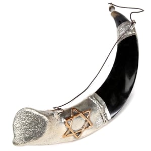 Barsheshet-Ribak Star of David and Menorah Silver Anointing Oil Yemenite Shofar