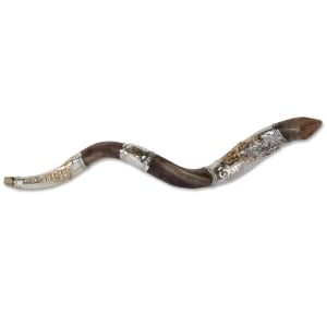 Sterling Silver Plated Yemenite Kudu Shofar - Chassid Design (Choice of Sizes)