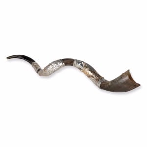 Sterling Silver Plated Yemenite Kudu Shofar – Lion of Judah (Choice of Sizes)