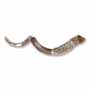 Sterling Silver Plated Yemenite Kudu Shofar – Menorah (Choice of Sizes)