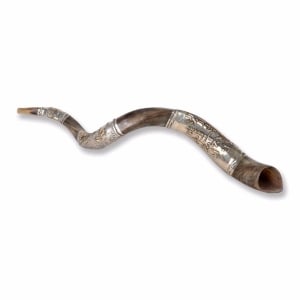 Sterling Silver Plated Yemenite Kudu Shofar – Shema Yisrael (Choice of Sizes)