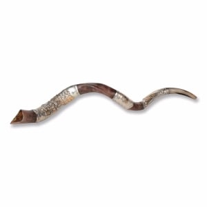 Sterling Silver Plated Yemenite Kudu Shofar – Ark of the Covenant (Choice of Sizes)