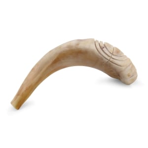Kosher 14"-16" Polished Ram's Horn Shofar With Menorah Engraving